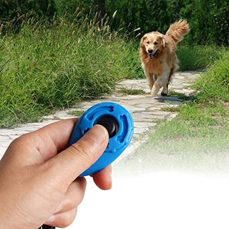 Ruconla Training Clicker with Wrist Strap (4-Pack)