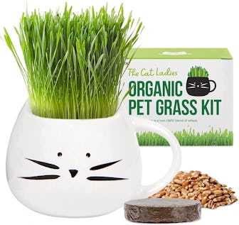 The Cat Ladies Organic Cat Grass Growing Kit