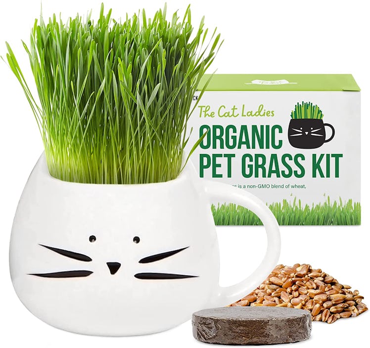 The Cat Ladies Organic Cat Grass Growing Kit
