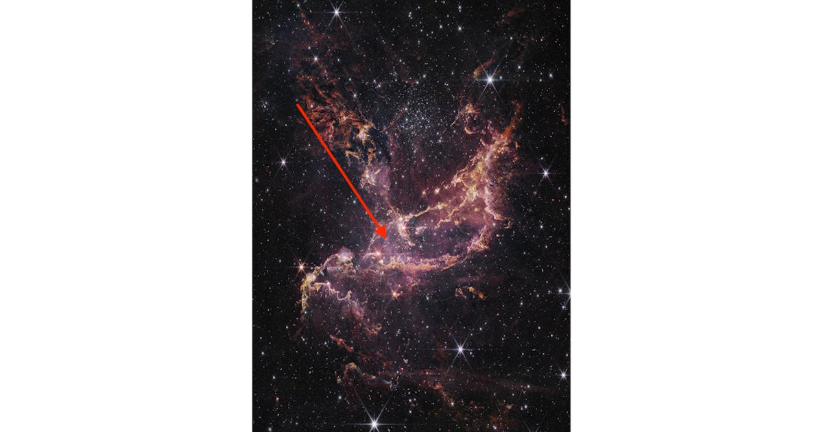 To see! Webb’s image reveals a fiery hive of baby stars in never-before-seen detail