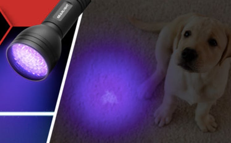 GearLight UV Flashlight