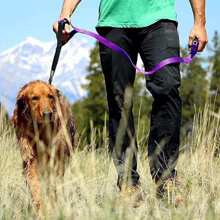 Leashboss No-Pull Double Handle Leash