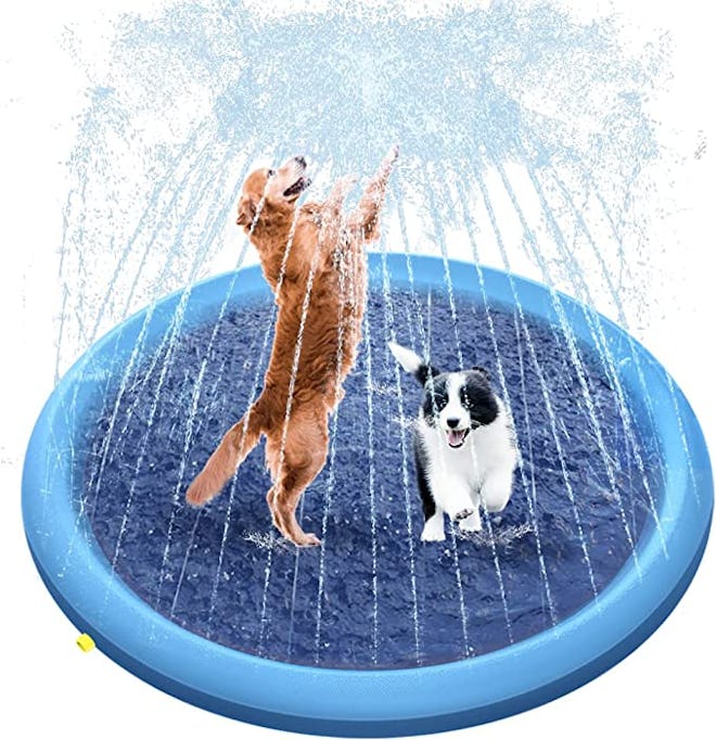 Raxurt Dog Pool