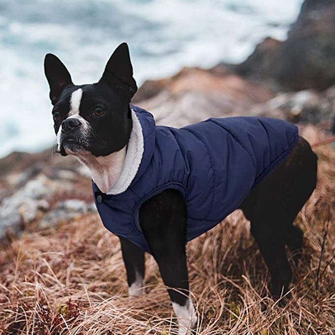 SAWMONG Dog Fleece Hoodie