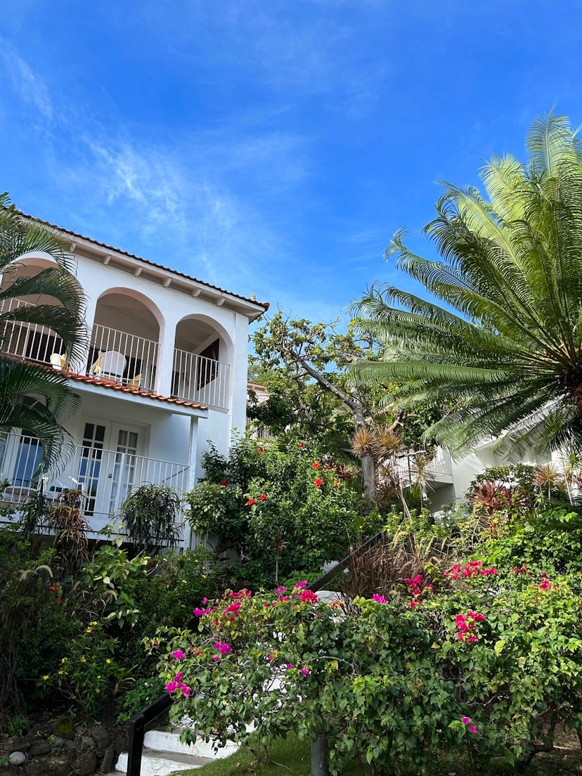 Mount Cinnamon, a hotel in Grenada