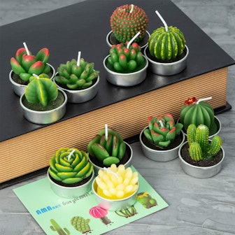 AMASKY Handmade Delicate Succulent Cactus Candles