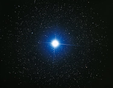 Sirius: The brightest star in the night sky comes into view