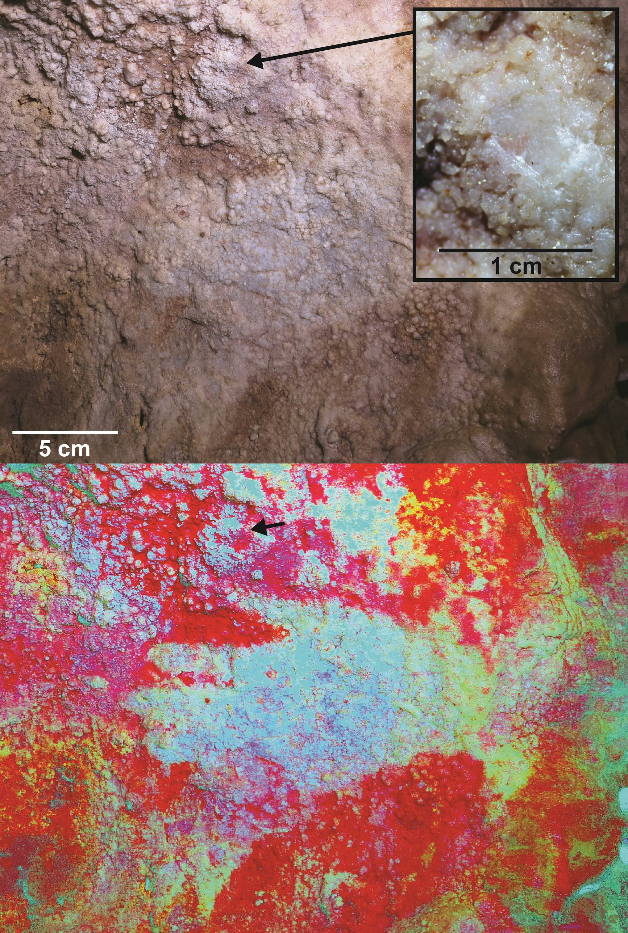 the-oldest-paintings-ever-found-on-earth-were-not-made