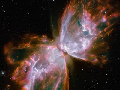 The Butterfly Nebula, as seen by the Hubble Space Telescope.