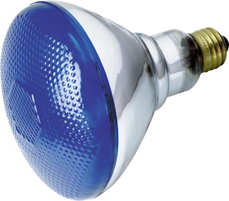 Satco Incandescent 120 Volt Medium Base Light Bulb