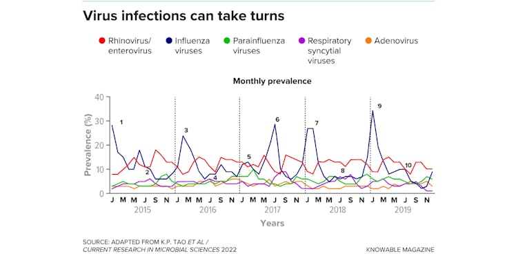 chart called "viral infections can take turns" tracking the infections of various viruses