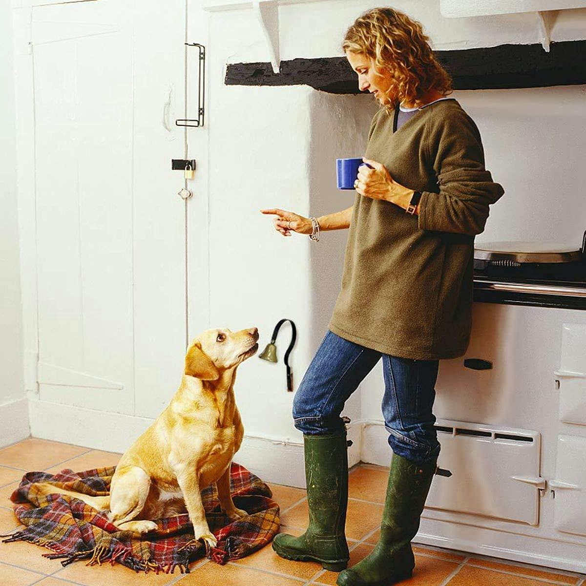 BarkOutfitters GoGo Bell Housebreaking Dog Doorbell