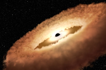 Stellar remnants are pulled into a donut-shaped ring around the black hole, and will eventually fall...