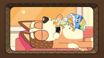 Chili Heeler eats corn chips on the couch in "Whale Watching," one of the best games featured on 'Bl...