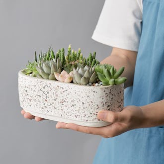 LIFVER Terrazzo Planter