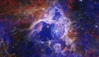 本星系群中最大最亮的恒星形成区域，剑鱼座30。