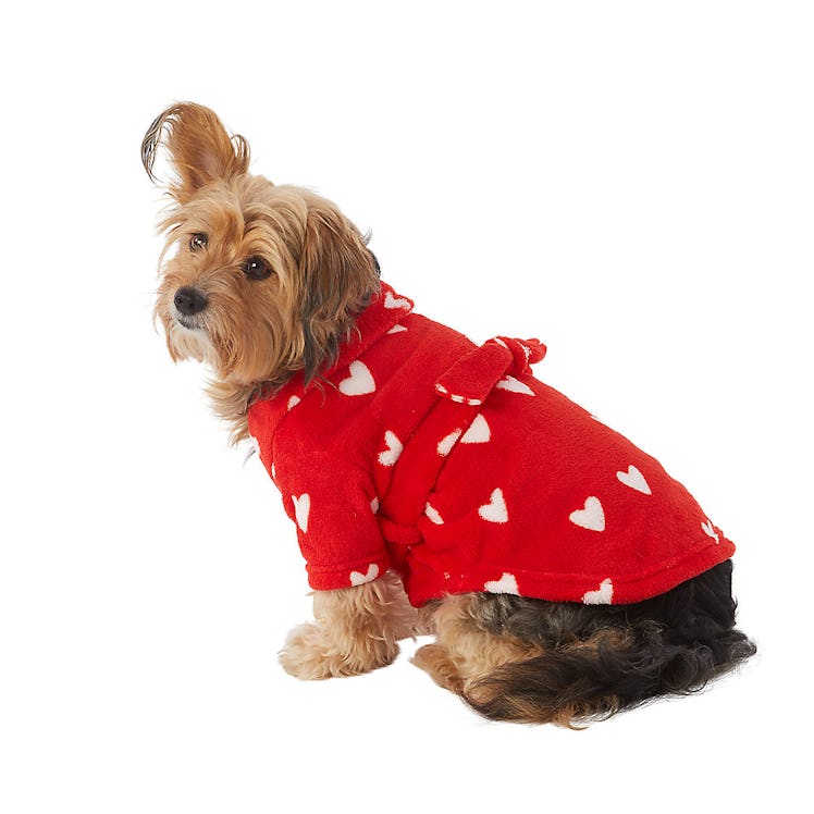 A dog wearing a rob from PetSmart's Valentine's Day collection for 2023. 