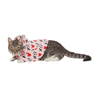 Cat top clothes petsmart