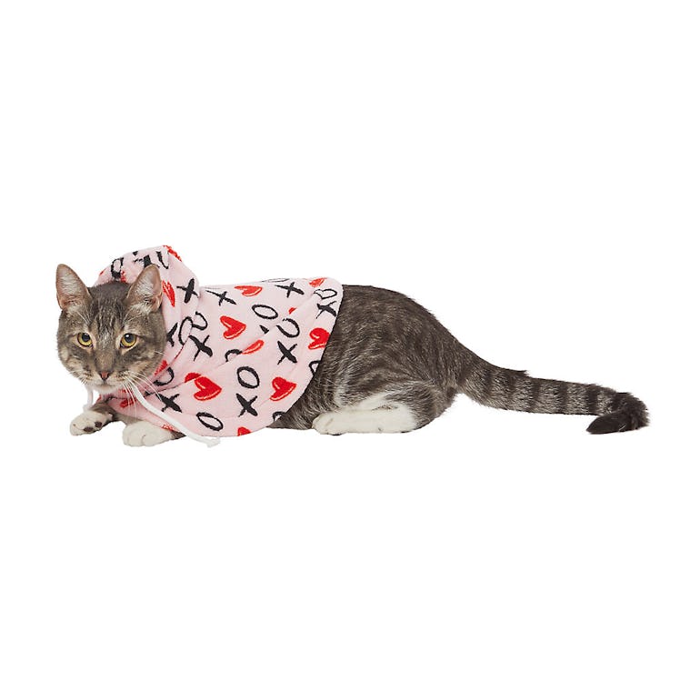A cat wears a Valentine's Day cape from the PetSmart Valentine's Day collection full of Valentines g...