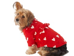 A dog wears a robe from PetSmart's Valentine's Day collection 2023. 