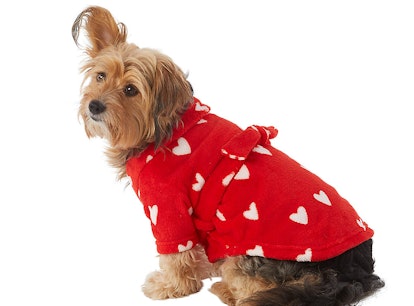 A dog wears a robe from PetSmart's Valentine's Day collection 2023. 