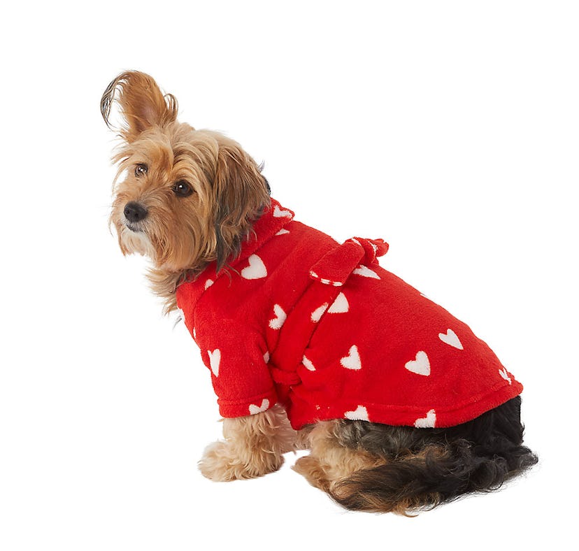 A dog wears a robe from PetSmart's Valentine's Day collection 2023.