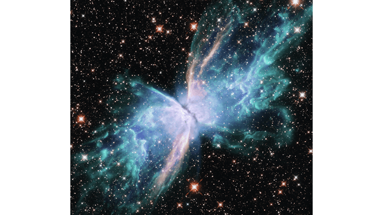 butterfly nebula