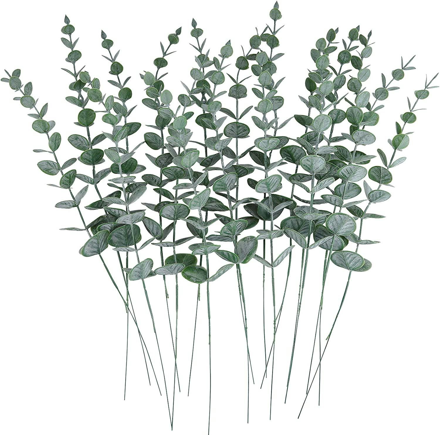 CEWOR Eucalyptus Stems (24 Pieces)