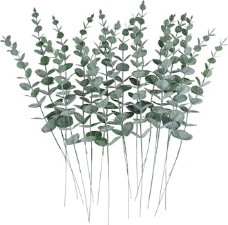 CEWOR Eucalyptus Stems (24 Pieces)