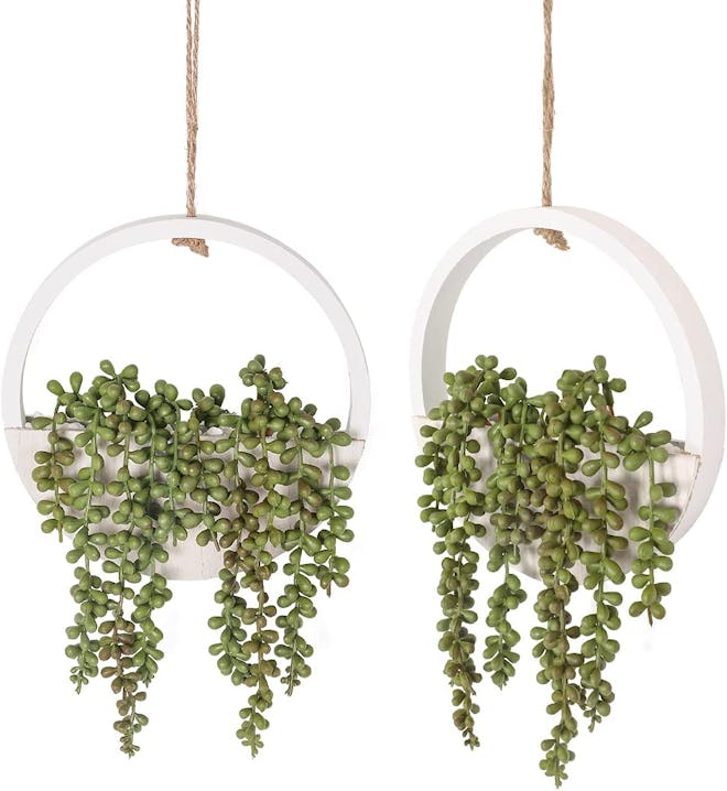 Floweroyal Artificial Hanging Succulents (Set of 2)