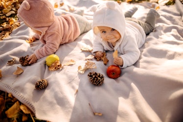 Two babies in onesies on a blanket on a pile of leaves in autumn.