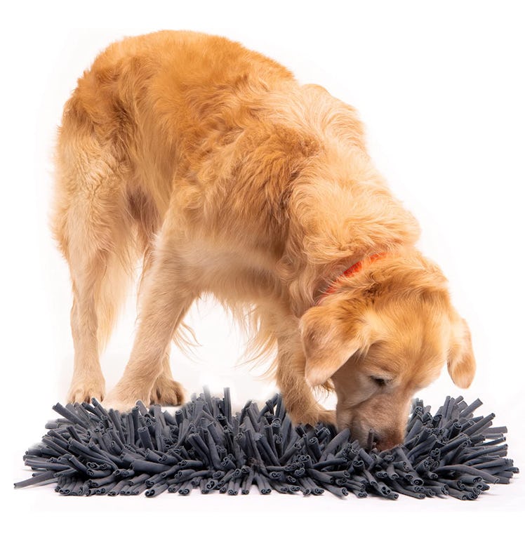 Paw 5 Dog Snuffle Mat