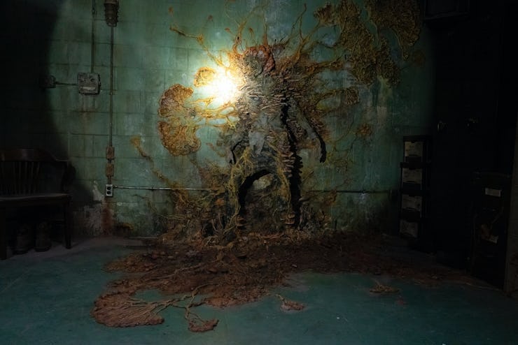 Last of Us cordyceps still