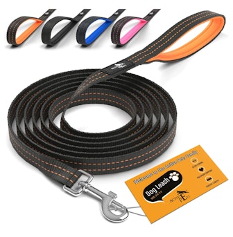 Active Pets Strong Dog Leash