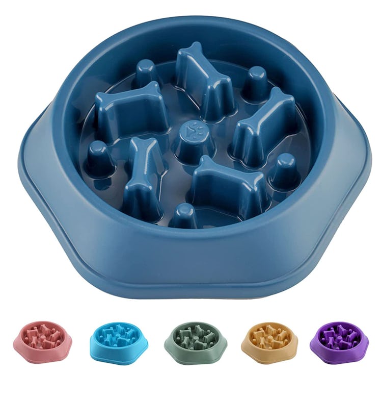 CAISHOW Slow Feeder Dog Bowl 