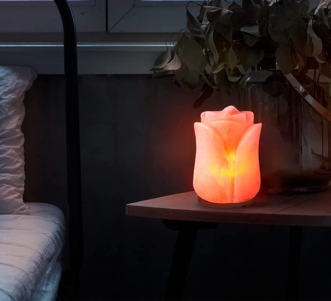 d&rsquo;aplomb Himalayan Salt Lamp