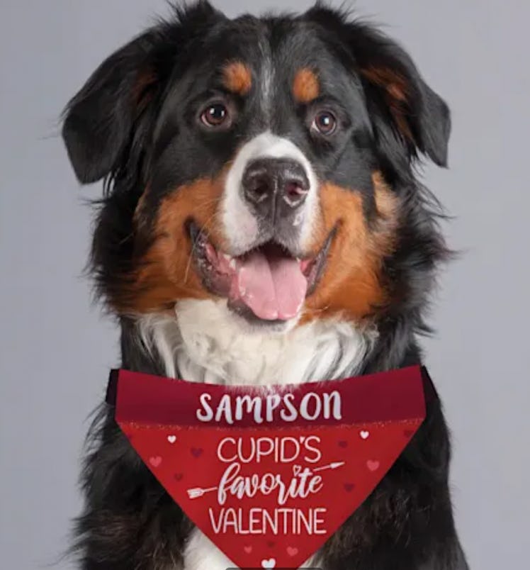 Custom Personalization Solutions Cupid's Favorite Valentine Dog Bandana