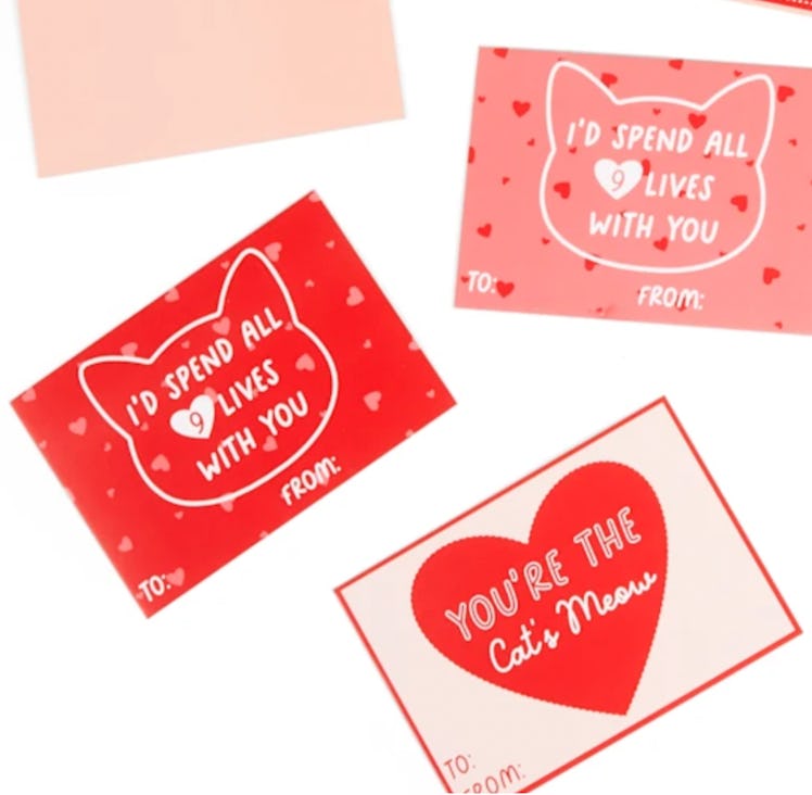 YOULY Cat Valentine Kit