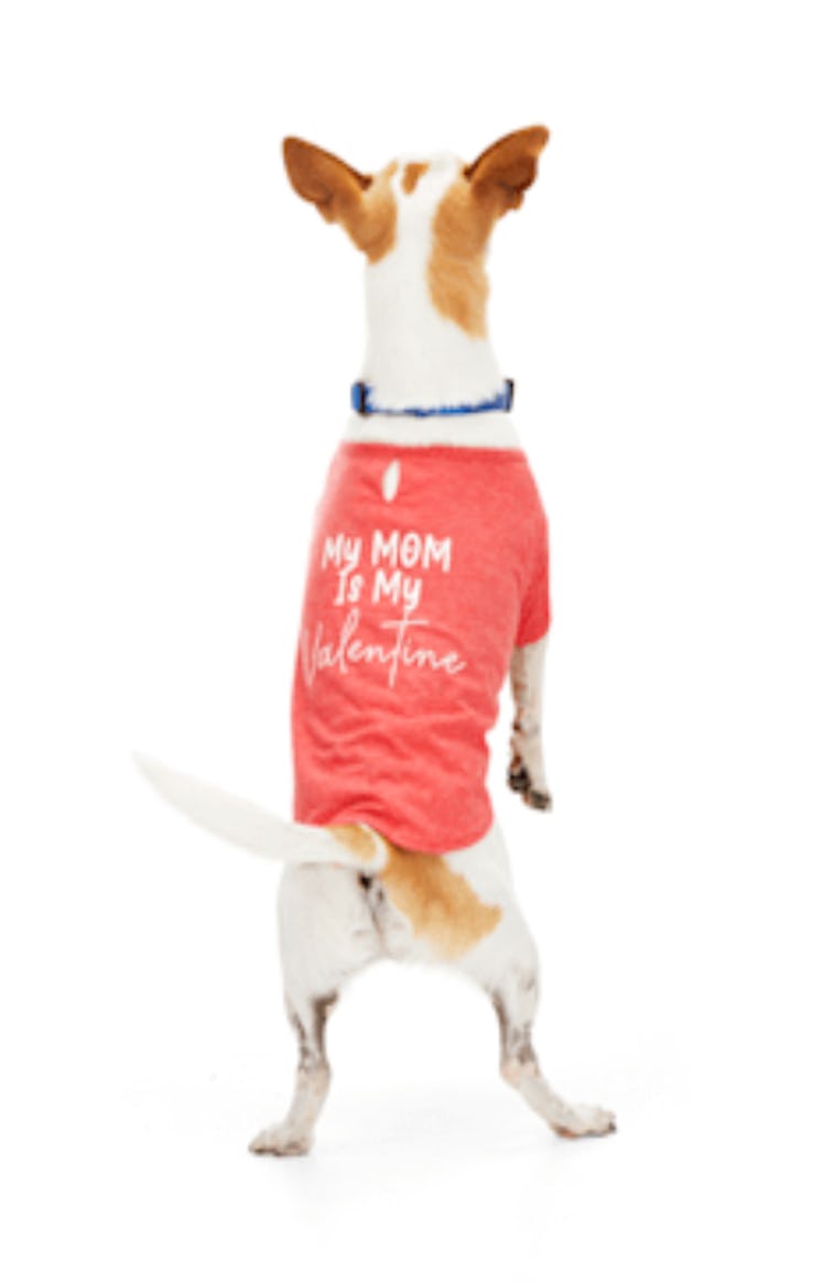 YOULY My Mom is My Valentine Dog Tee, Small