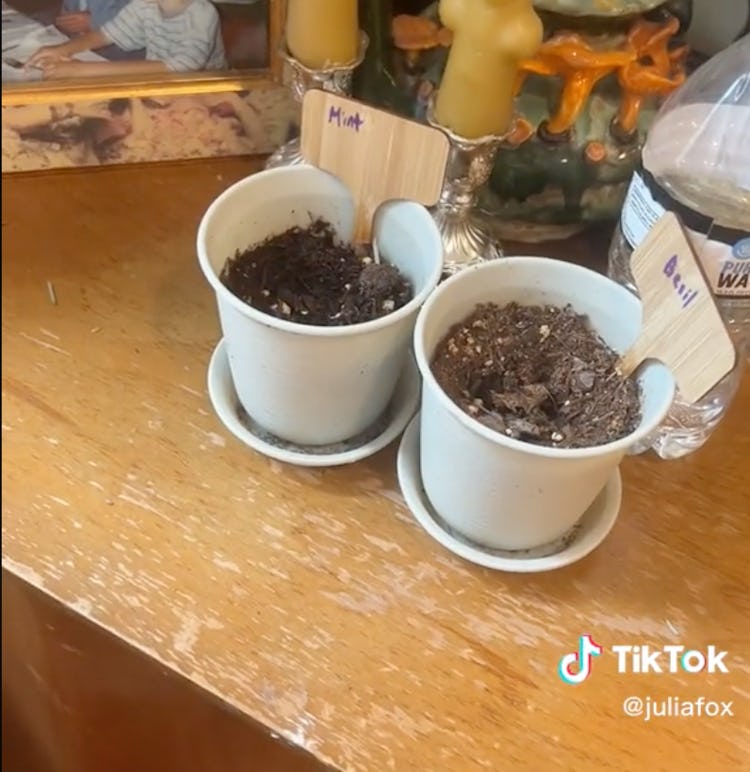 pots of dirt from Julia Fox's apartment tour on tiktok
