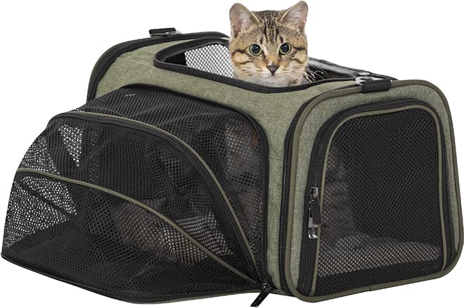 This soft-sided cat carrier for nervous cats is expandable and ideal for air travel.