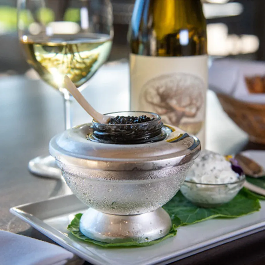 Unique Wine-Tasting Experiences You Won’t Want To Put A Cork In