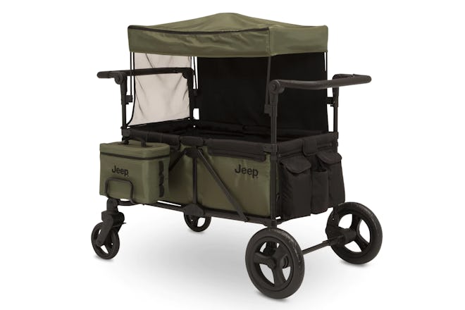 a review of this wagon stroller