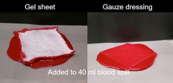 The gel sheet compared to a gauze dressing in absorbing blood.