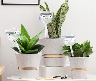 Jitnetiy Self-Watering Plant Globes (3-Pack)