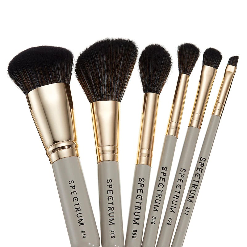 The Aspinall Foundation 6 Piece Giftable Brush Set