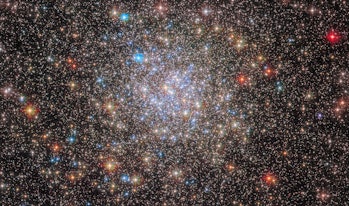 Color image of a bright cluster of millions of stars, in various shades of white, blue, yellow, oran...