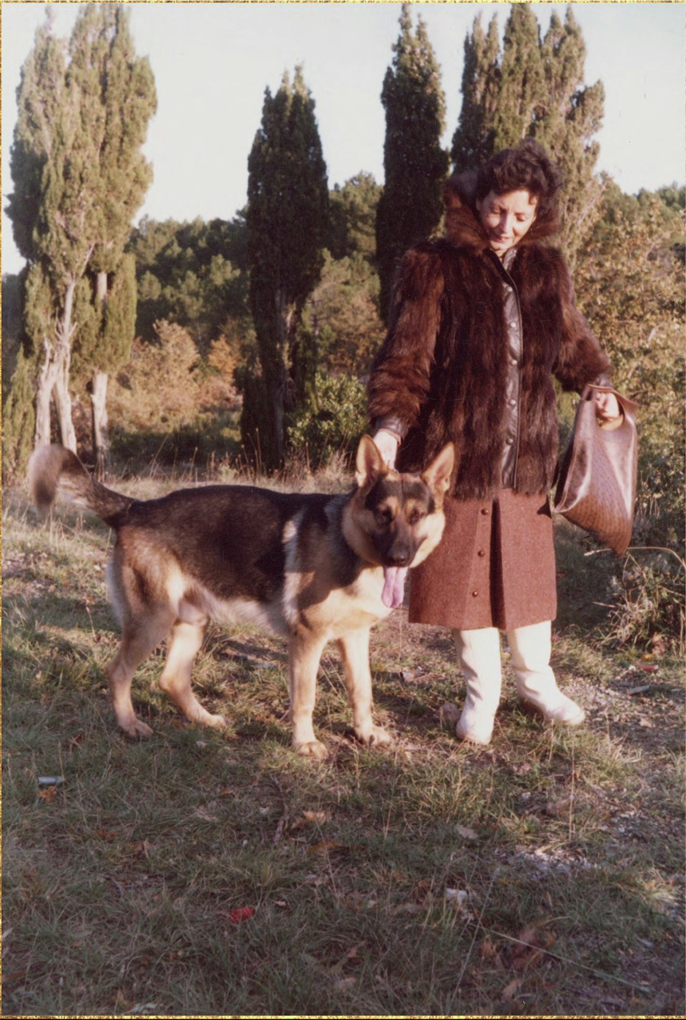 Mian admits that Countess Liebenstein was not a real woman.