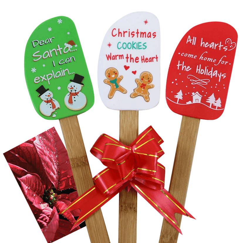 3 Piece Fun Silicone Spatula Gift Set