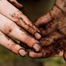 A woman's hands covered in dirt.